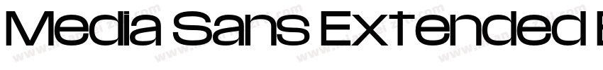 Media Sans Extended Bold字体转换